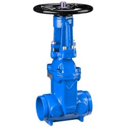 Victaulic seal gate valve DN 50mm