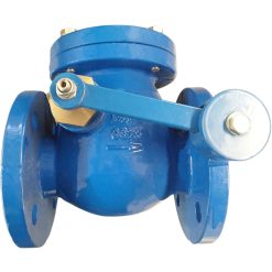 Swing flanged non-return valve DN 80mm
