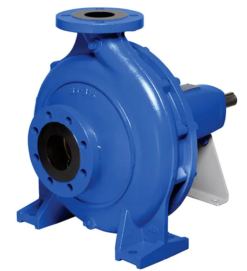 Ebara GS 100-250-270 Standardised End Suction Pump
