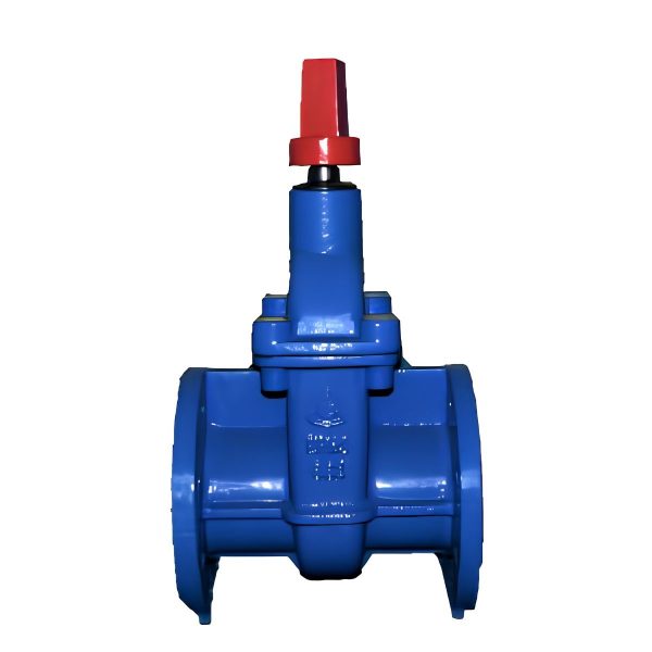 Flanged Wedge Gate Valve Non-Rising 50mm PN16