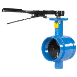 DN50 Victaulic butterfly valve