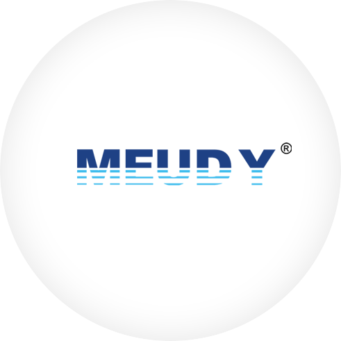 Meudy pumps