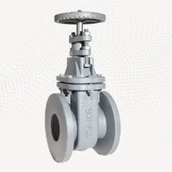 Sanspar C.I Industrial Pattern PN10 RS BS3464 Wedge Gate Valves 300mm