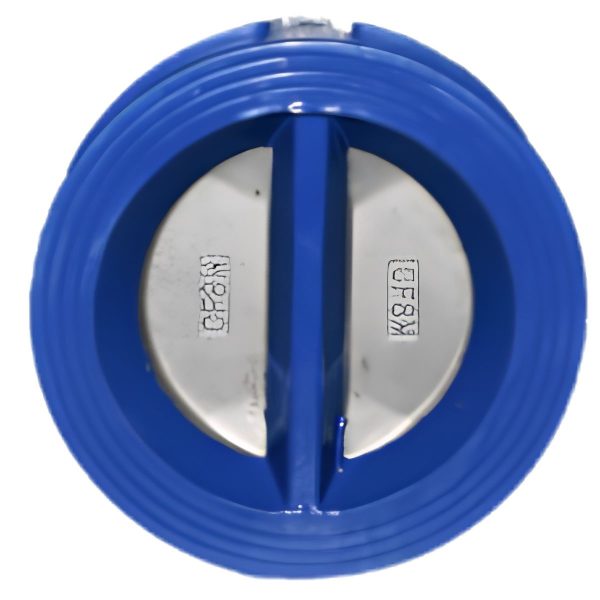 Alternative view of Double door check valve NR 316SS DN50-PN16