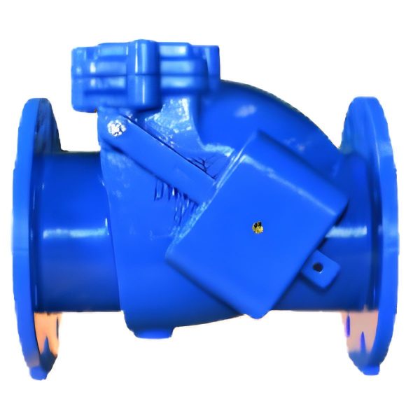 Flanged Swing Check Valve Gate Rubber Encapsulated NR with counter weight 65mm