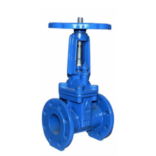 Resilient Seated Rising Spindle Gate Valve 50mm