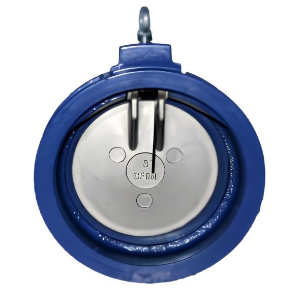 Single Door Wafer Check Valve NR 316SS C.I. Body FBE 50mm