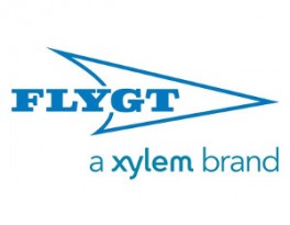 Flygt pumps
